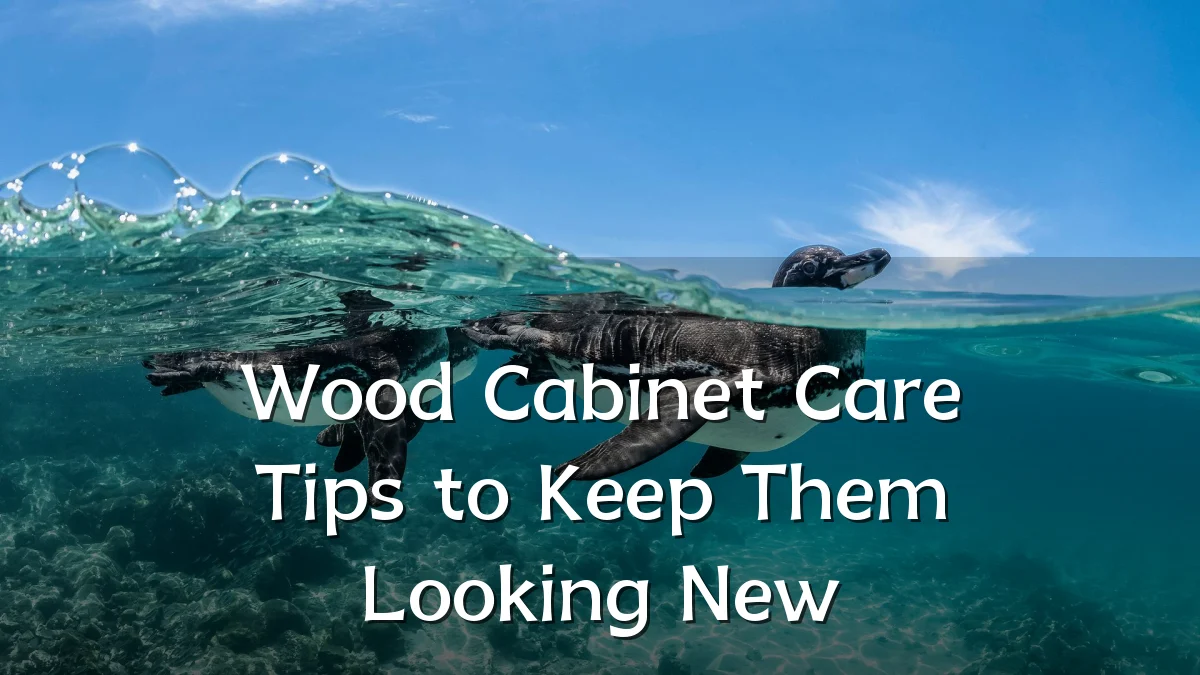 Wood Cabinet Care Tips to Keep Them Looking New