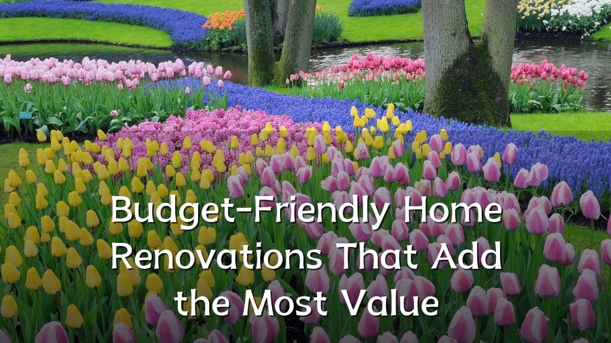 Budget-Friendly Home Renovations That Add the Most Value