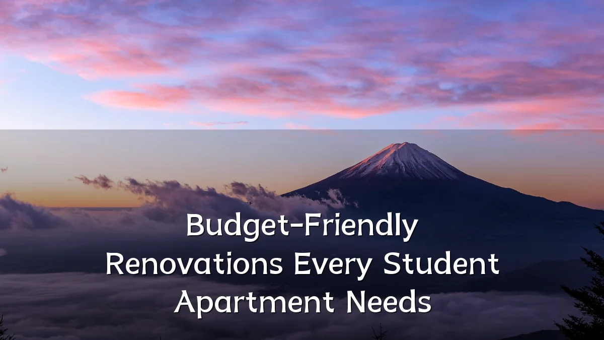 Budget-Friendly Renovations Every Student Apartment Needs