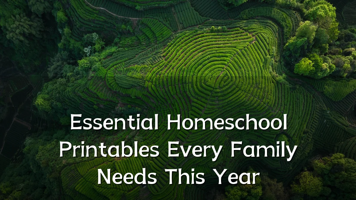 Essential Homeschool Printables Every Family Needs This Year