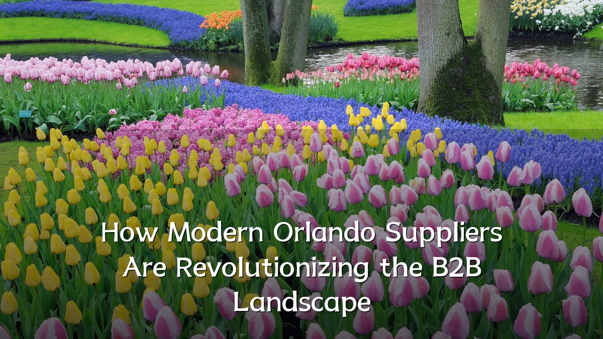 How Modern Orlando Suppliers Are Revolutionizing the B2B Landscape