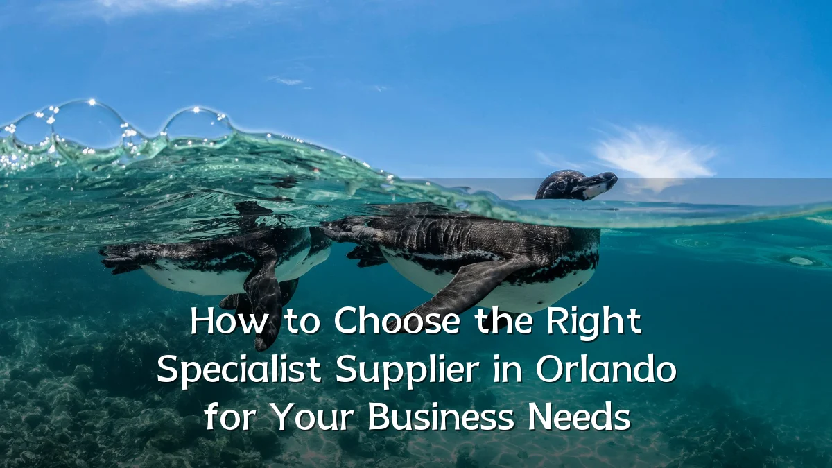 How to Choose the Right Specialist Supplier in Orlando for Your Business Needs
