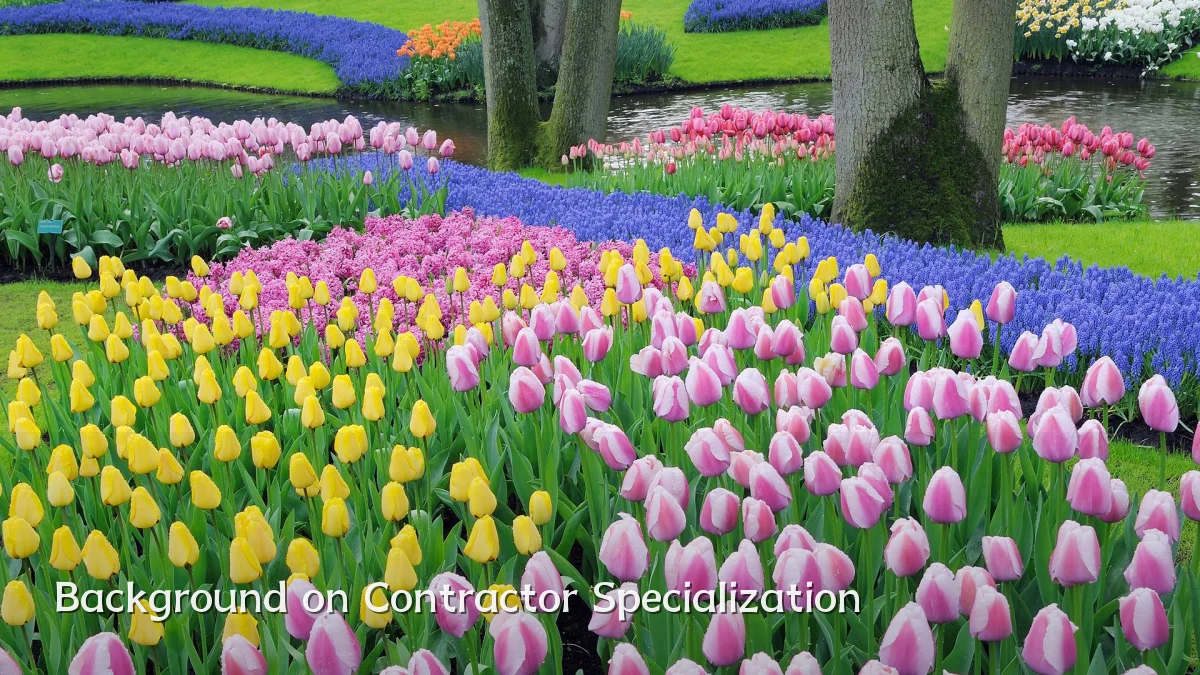 Background on Contractor Specialization