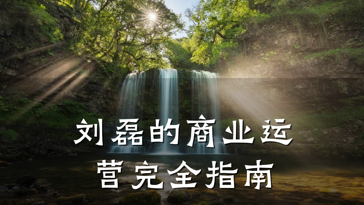 刘磊的商业运营完全指南