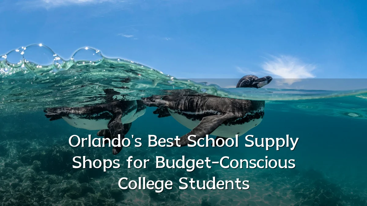 Orlando's Best School Supply Shops for Budget-Conscious College Students