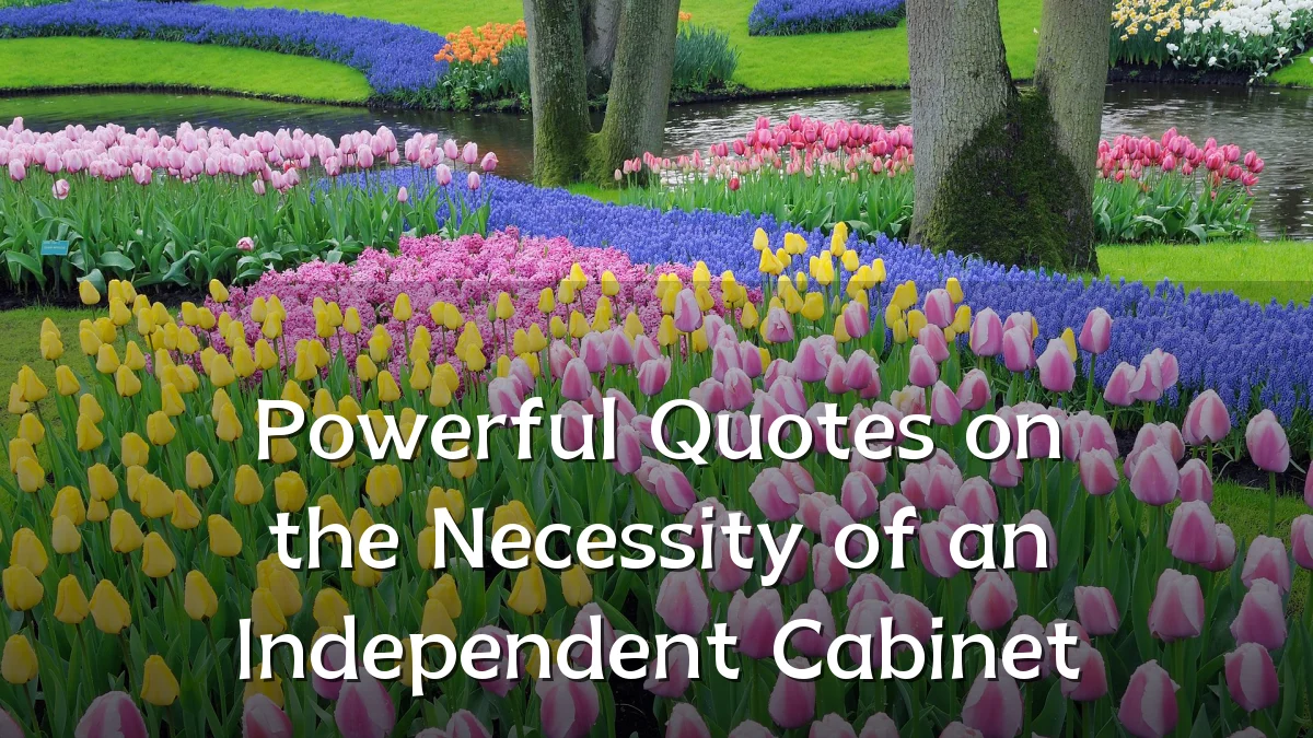 Powerful Quotes on the Necessity of an Independent Cabinet