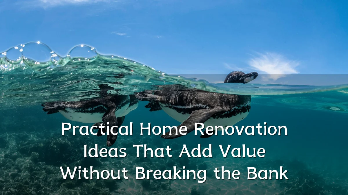 Practical Home Renovation Ideas That Add Value Without Breaking the Bank