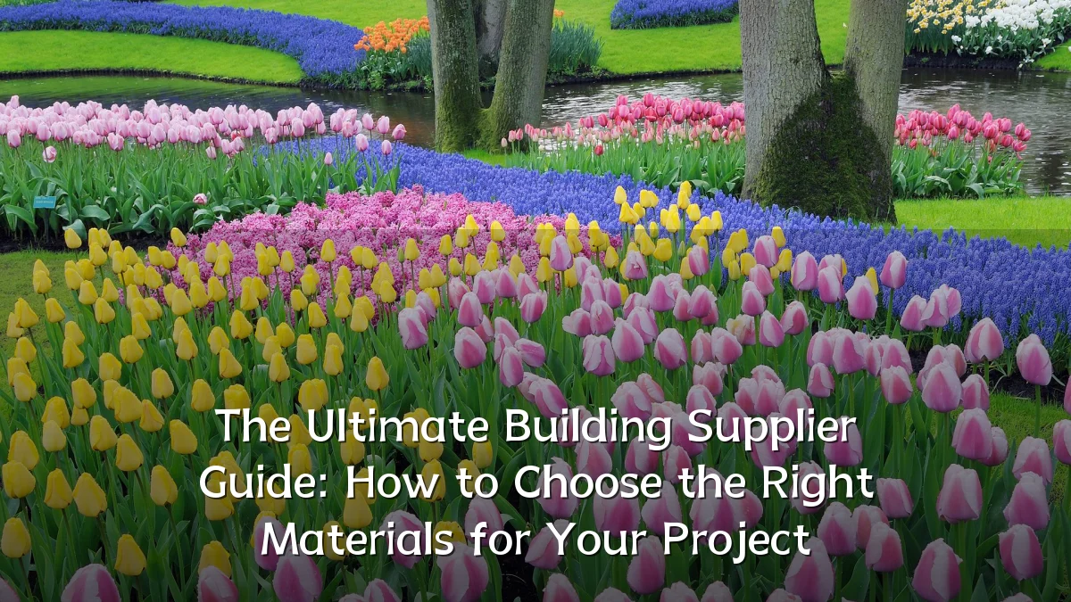 The Ultimate Building Supplier Guide: How to Choose the Right Materials for Your Project