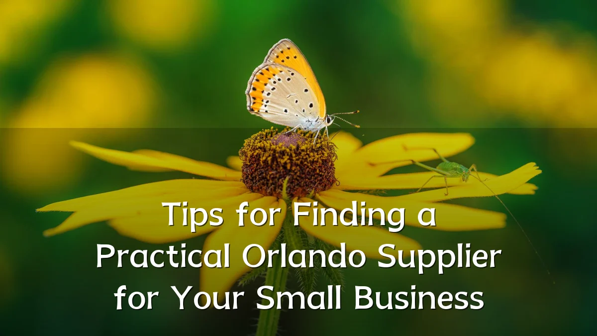 Tips for Finding a Practical Orlando Supplier for Your Small Business