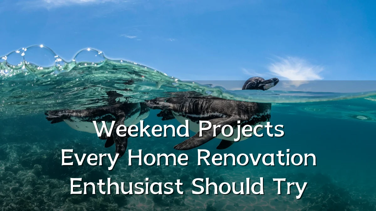 Weekend Projects Every Home Renovation Enthusiast Should Try