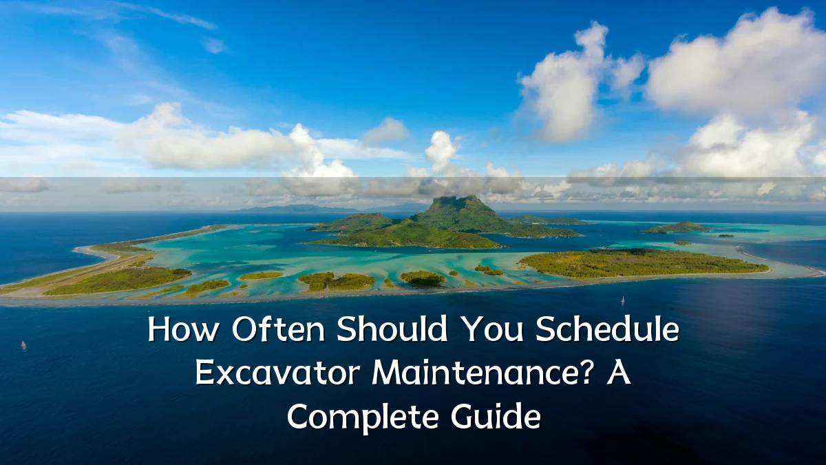 How Often Should You Schedule Excavator Maintenance? A Complete Guide