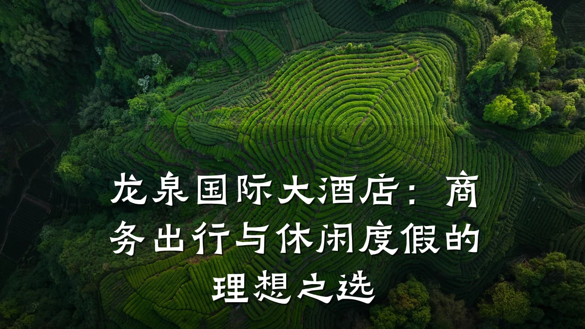 龙泉国际大酒店：商务出行与休闲度假的理想之选