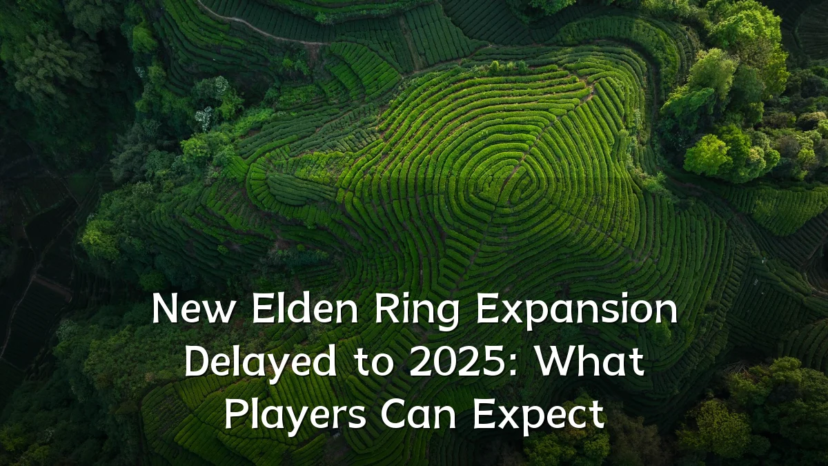 New Elden Ring Expansion Delayed to 2025: What Players Can Expect