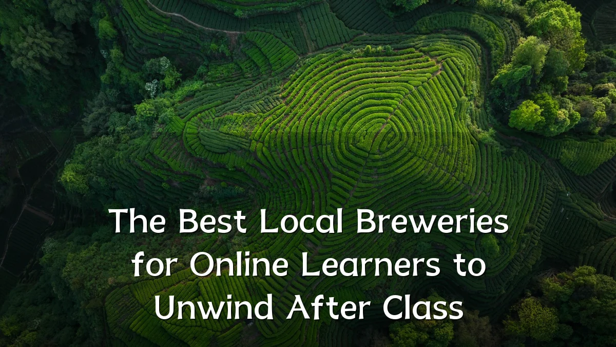 The Best Local Breweries for Online Learners to Unwind After Class