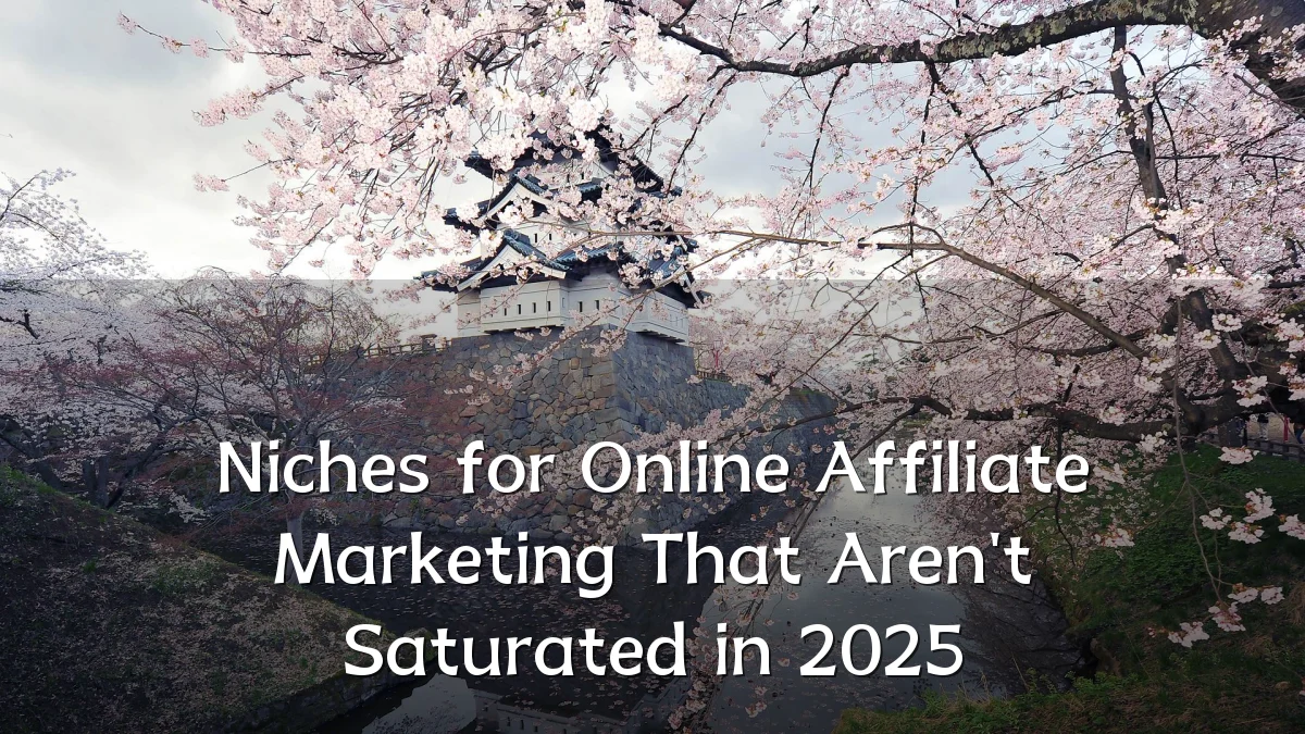 Niches for Online Affiliate Marketing That Aren't Saturated in 2025
