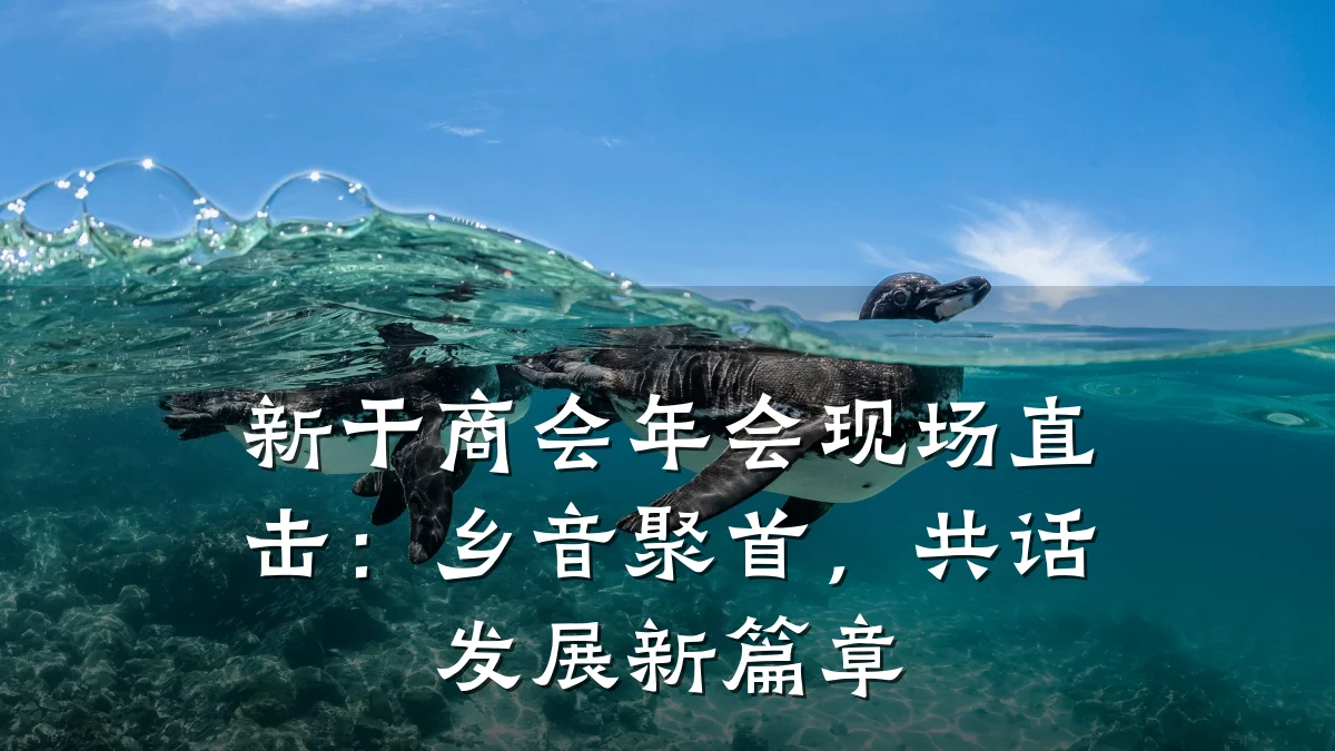 新干商会年会现场直击:乡音聚首,共话发展新篇章