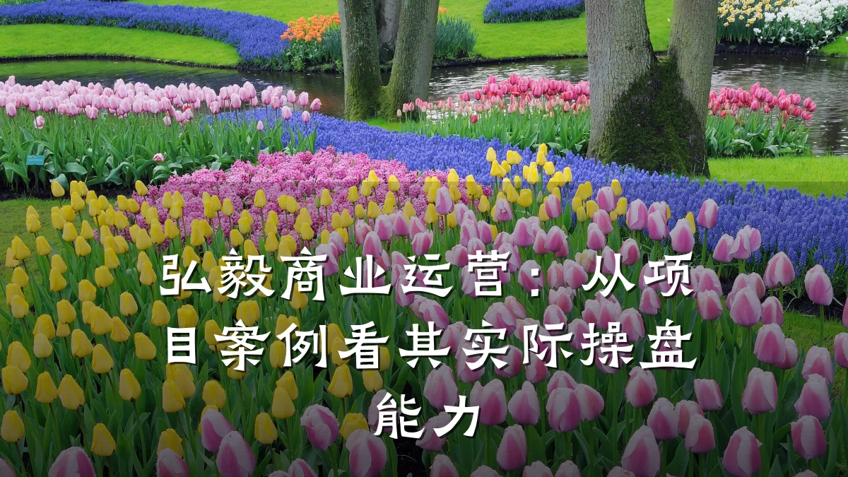 弘毅商业运营:从项目案例看其实际操盘能力