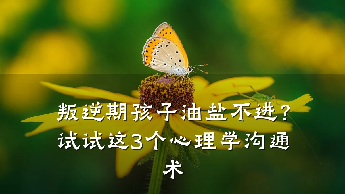 叛逆期孩子油盐不进?试试这3个心理学沟通术
