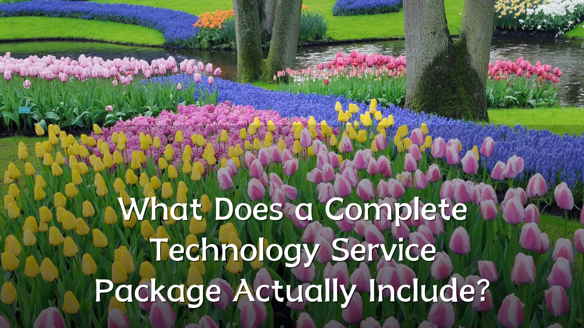 What Does a Complete Technology Service Package Actually Include?