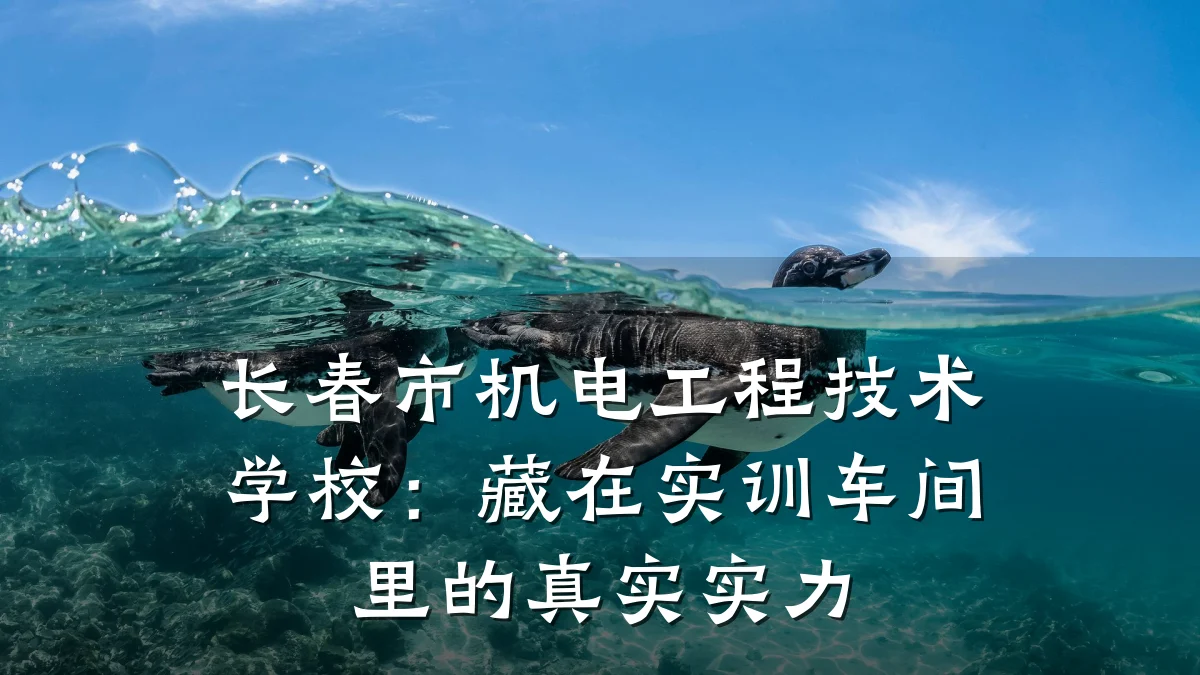 长春市机电工程技术学校:藏在实训车间里的真实实力
